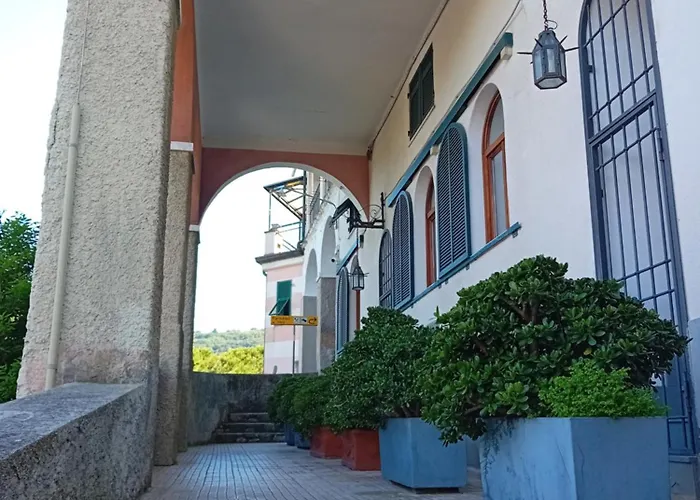 Paradiso 3*